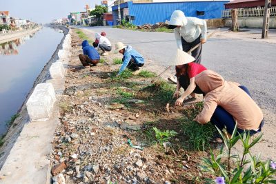 CHỦ NHẬT XANH – CHUNG TAY XÂY DỰNG MÔI TRƯỜNG XANH, SẠCH, ĐẸP