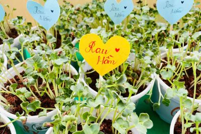 NHỮNG “BÁC NÔNG DÂN NHÍ” VÀ MÓN QUÀ TỪ ĐẤT